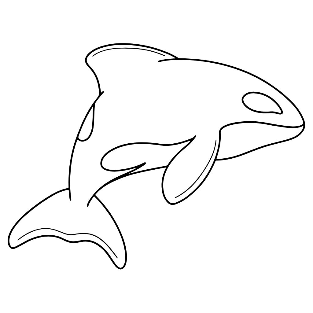 imagem de golfinho para colorir
