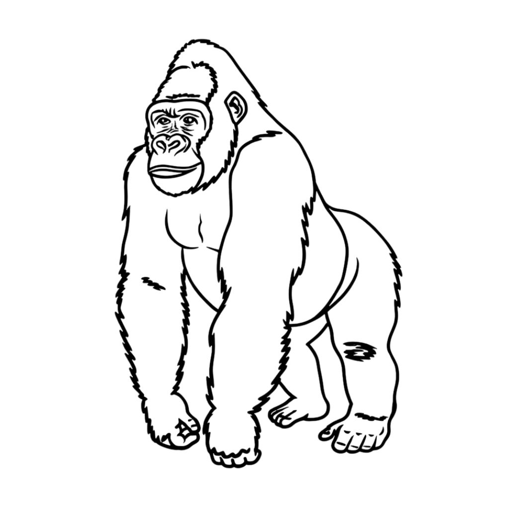 desenho macaco para colorir