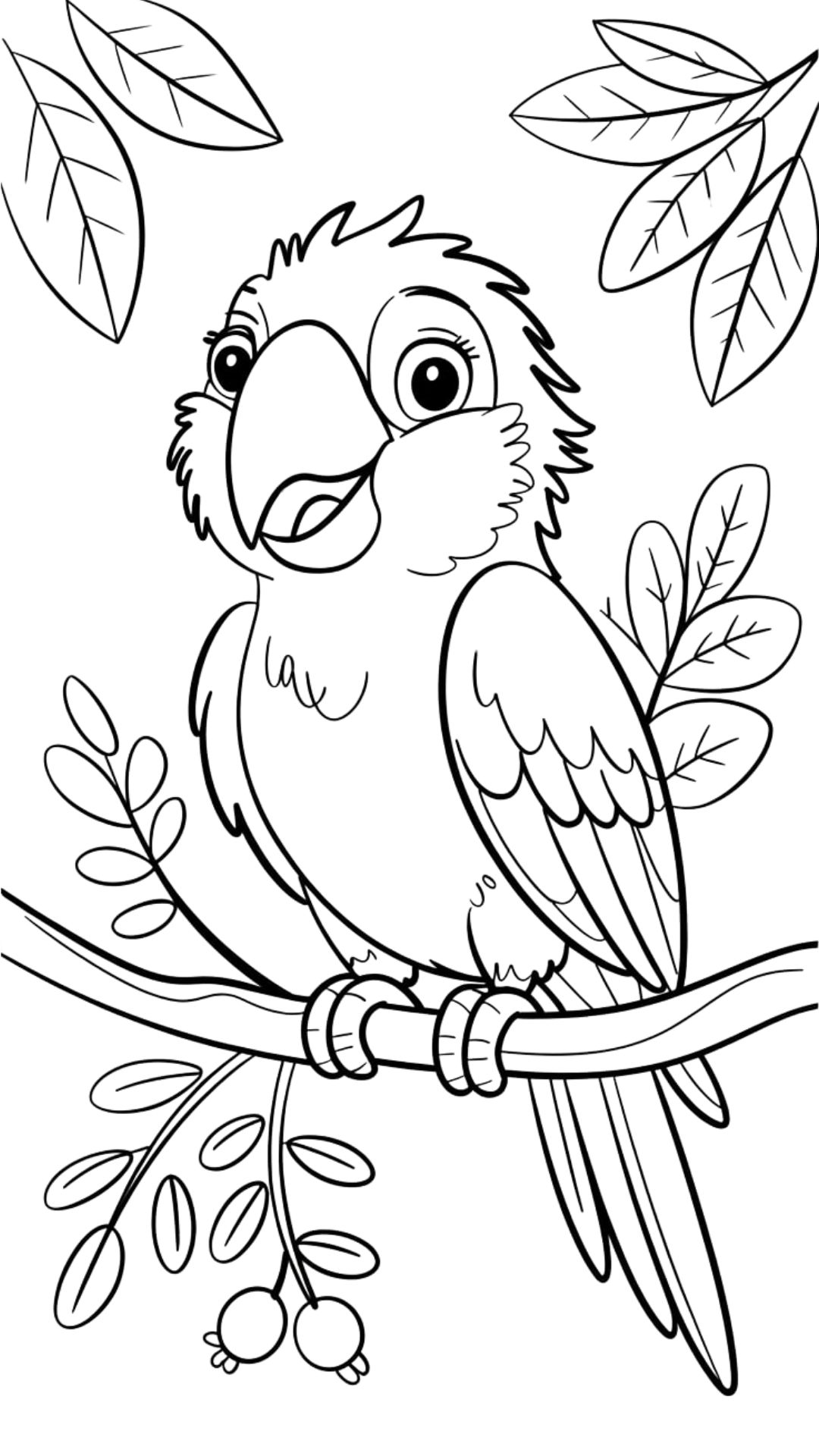 imagem papagaio para colorir