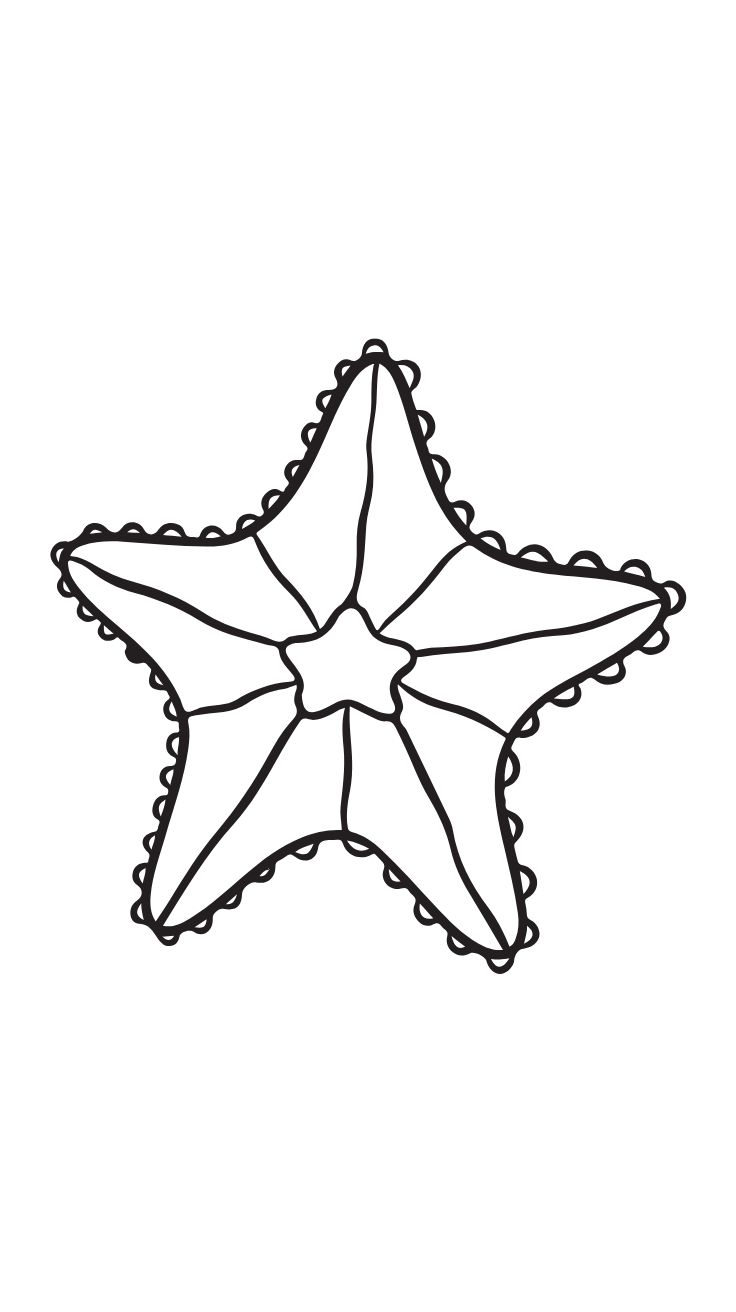 desenho de uma estrela do mar colorida para imprimir