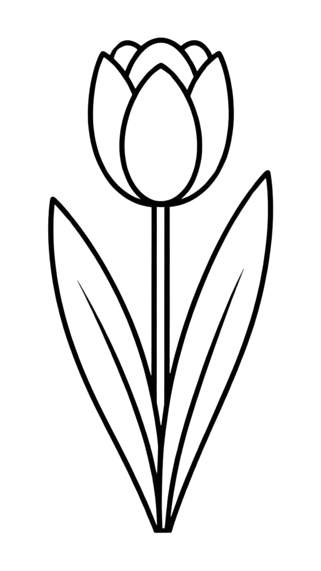 desenhos para colorir de tulipas