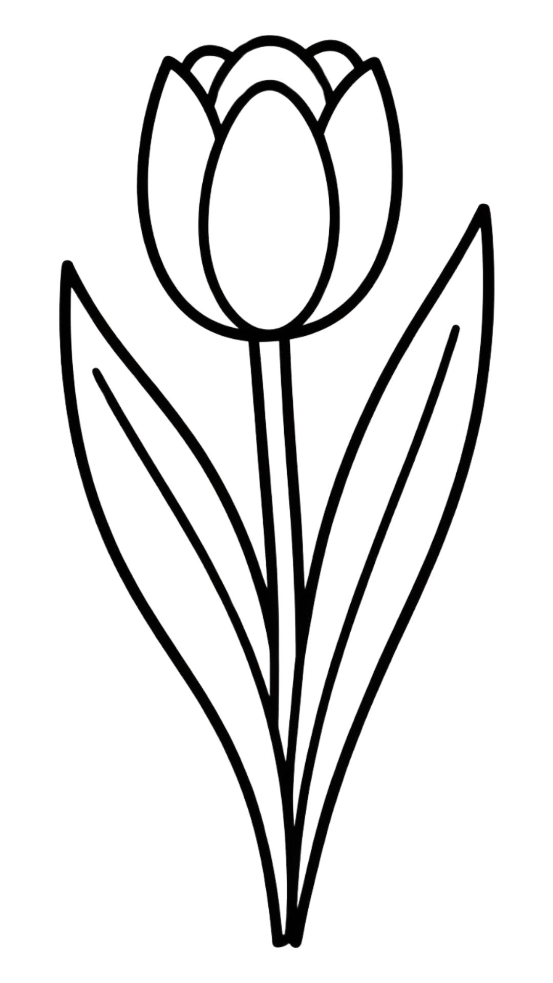 desenho de tulipa para colorir