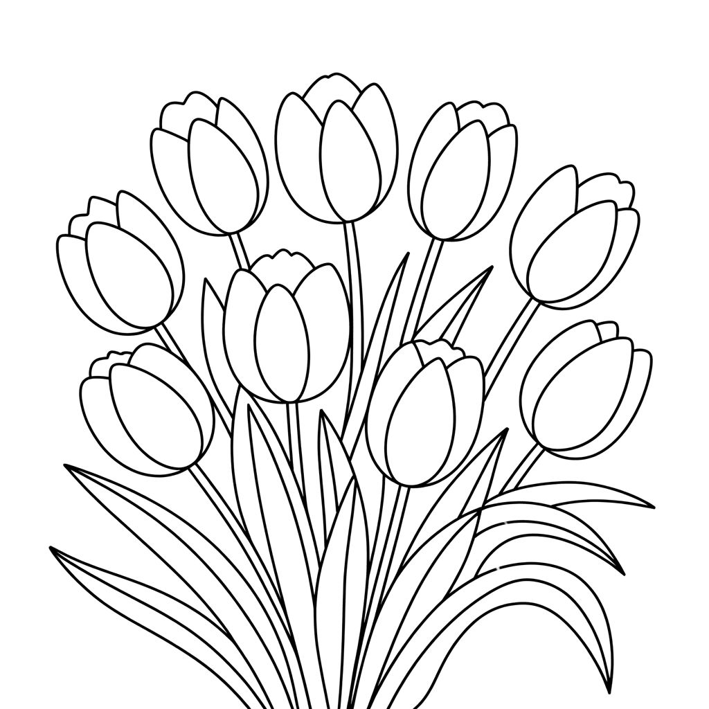Desenho De Flor De Tulipa PNG Images