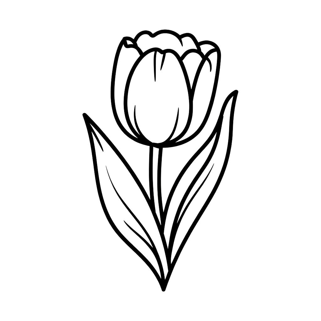 Desenho Flor Tulipa