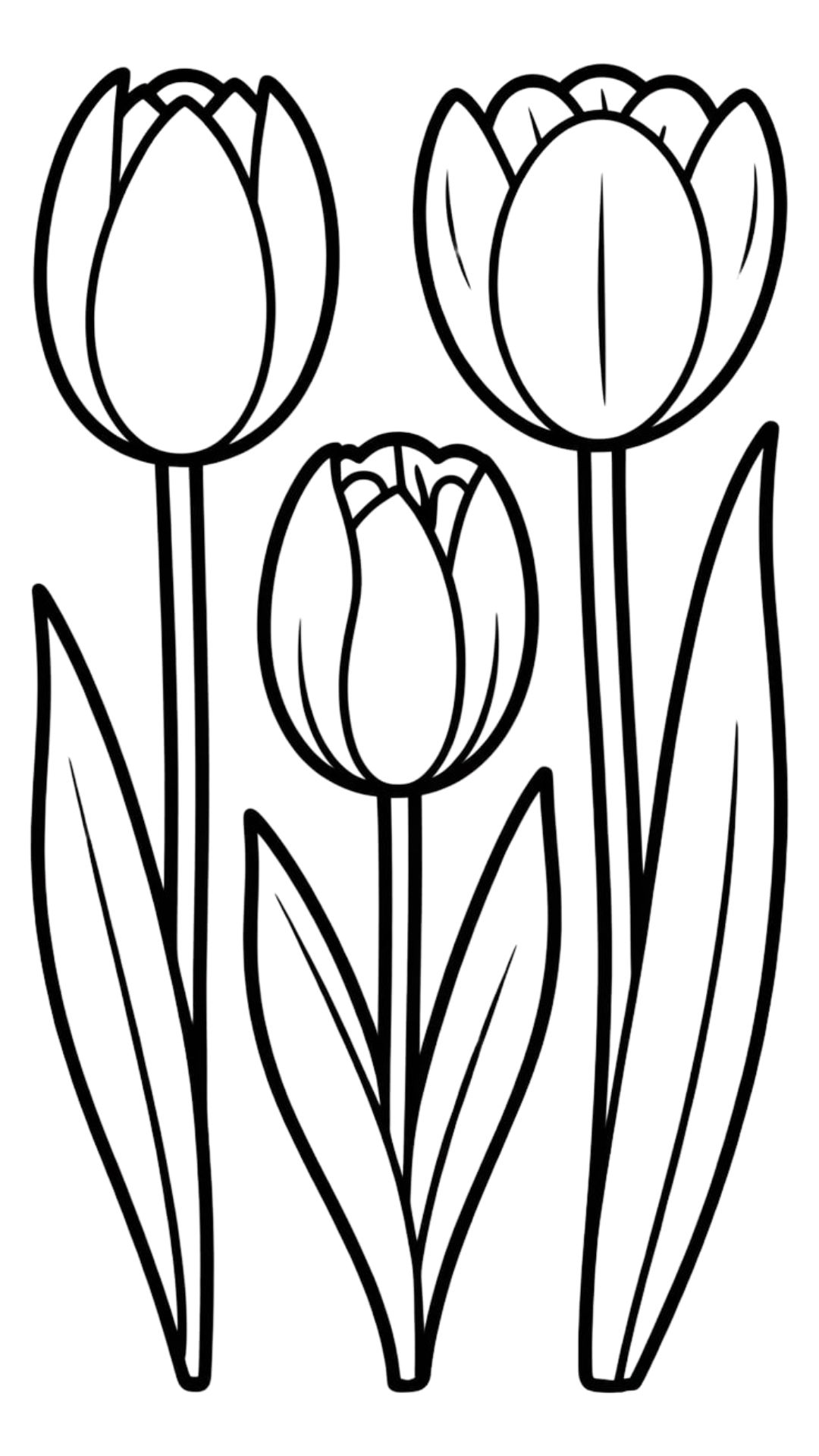 imagem de tulipa para colorir