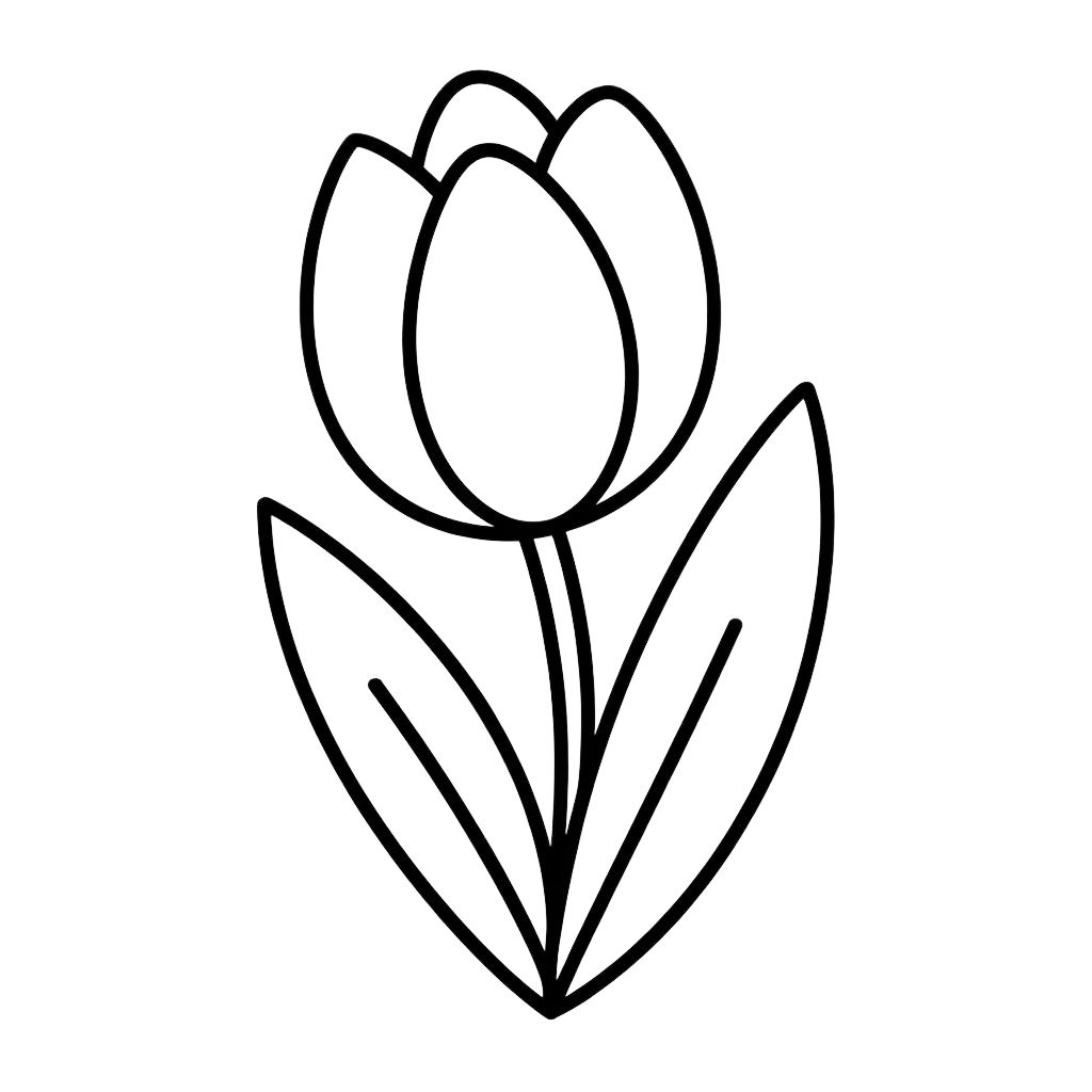 desenho de flor tulipa