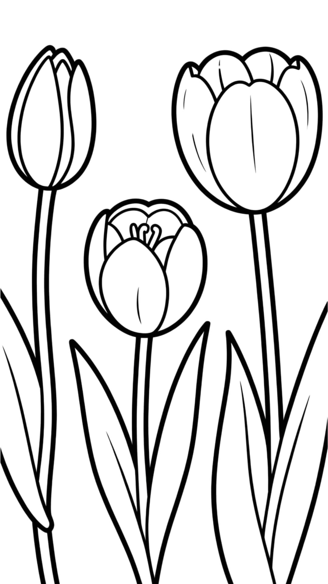 Desenho de uma Tulipa para colorir
