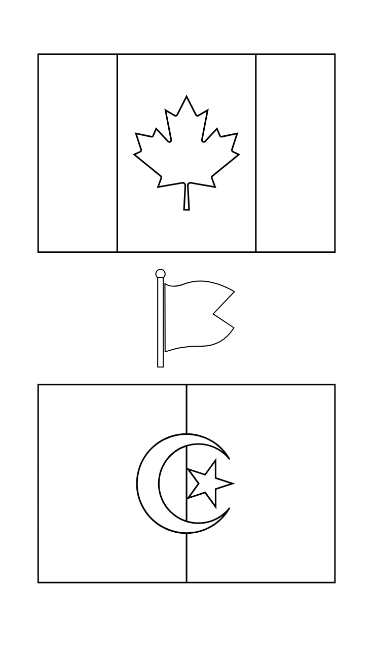 bandeira do brasil colorir